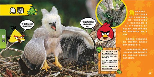 愤怒的小鸟环游世界动物篇 书籍 童书 畅销 商城