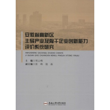 安徽省高新区主导产业及骨干企业创新能力评价系统研究