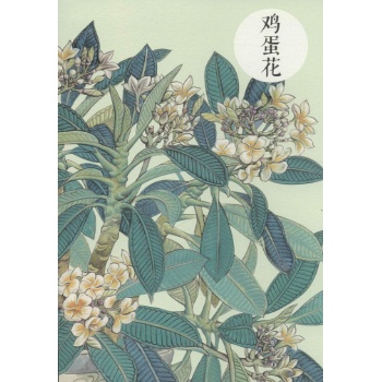 祝大年格调笔记系列鸡蛋花