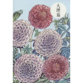 祝大年格调笔记系列大理菊
