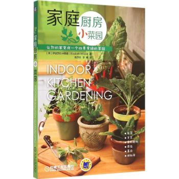 家庭厨房小菜园