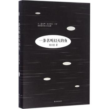 一条名叫幻灭的鱼/张小意著