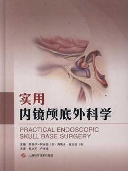实用内镜颅底外科学