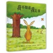 我不知道我是谁*（荣获欧洲文学最佳绘本大奖，英国广受欢迎的童书作家绘本代表作之一）
