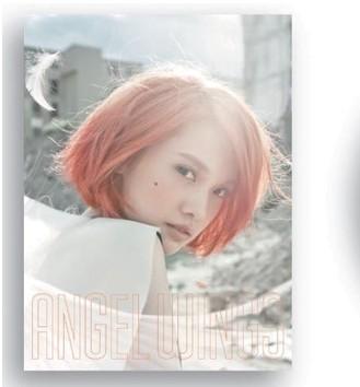 (CD)杨丞琳:天使之翼,港台歌曲CD,音像