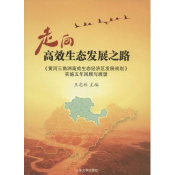 走向高效生态发展之路:《黄河三角洲高效生态经济区发展规划》实施五年回顾与展望