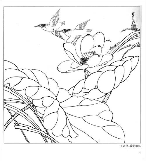 ˰軭չʾ
