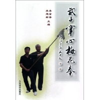 武子穿心梅花拳