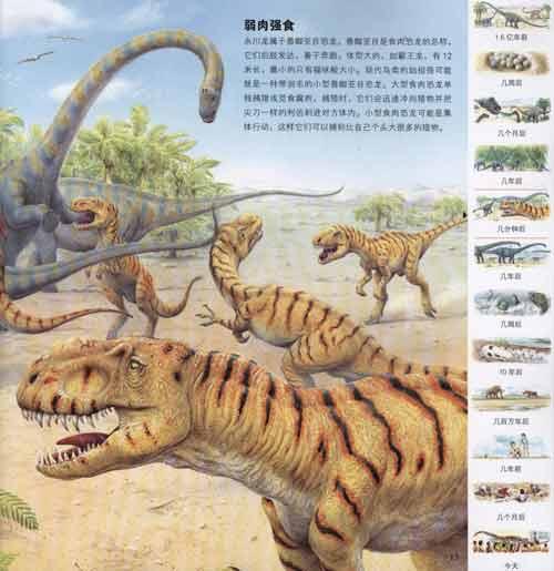 恐龙世纪 简介,恐龙世纪作者、出版社 - 51比购