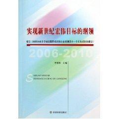 实现新世纪宏伟目标的纲领