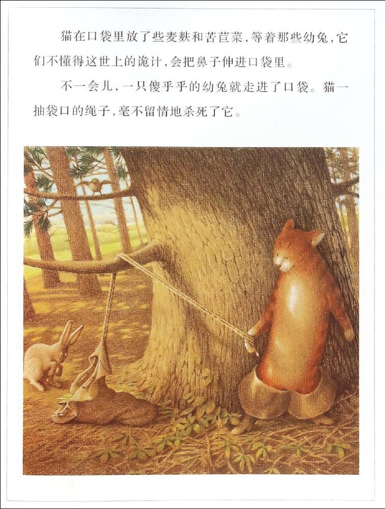青春与动漫绘本 绘本  目录 《穿靴子的猫》无目录 作者简介 弗雷德