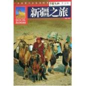 新疆之旅(黄金版)