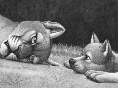 绝境狼王系列:孤独的小狼-(美)拉丝基-儿童文学