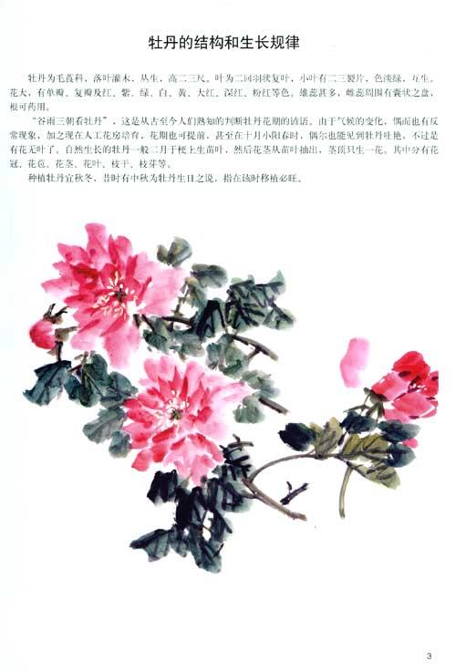 写意牡丹设色技法图片