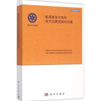 能源革命中电网及技术发展预测和对策/决策咨询系列/国家科学思想库:决策咨询系列