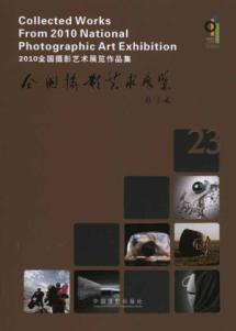 2010全国摄影艺术展览作品集 免运费