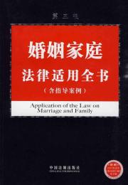 判例与专题评点丛书-婚姻家庭纠纷新型典型案