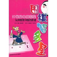 围棋智多星:从20级到10级的跃进