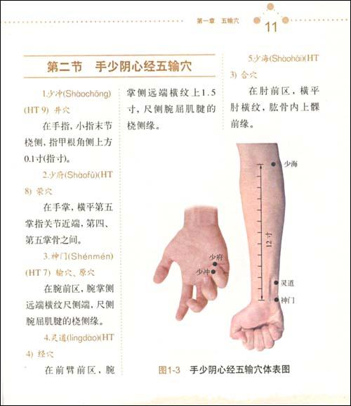 实用针灸特定穴穴位图谱