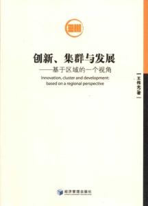 创新、集群与发展：基于区域的一个视角