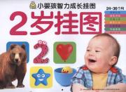 小婴孩智力成长挂图-2岁挂图
