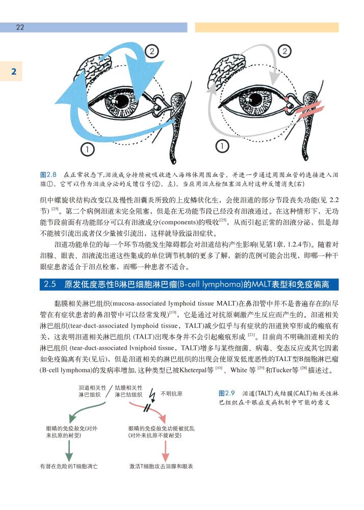 德,英,西班牙,捷克等国的zhu名泪道病专家编写,国际首部内容涵盖泪囊