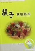 提子栽培技术