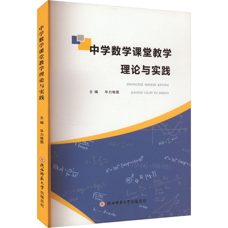  中学数学课堂教学理论与实践 
