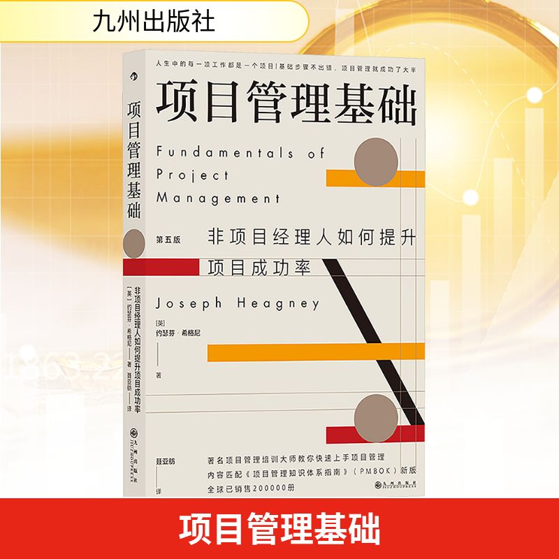  项目管理基础 非项目经理人如何提升项目成功率 第五版 