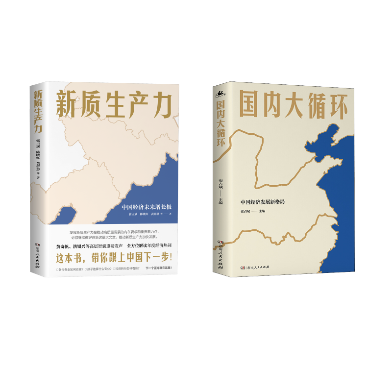  国内大循环+新质生产力 