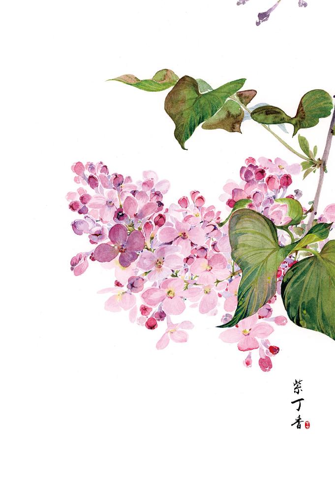 花笺素材,花笺图片,花笺(第9页)_大山谷图库