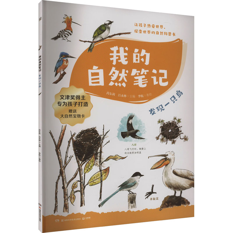  我的自然笔记 发现一只鸟 