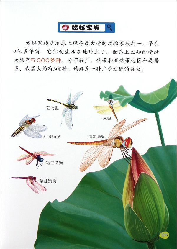 蜻蜓种类名称大全图片图片