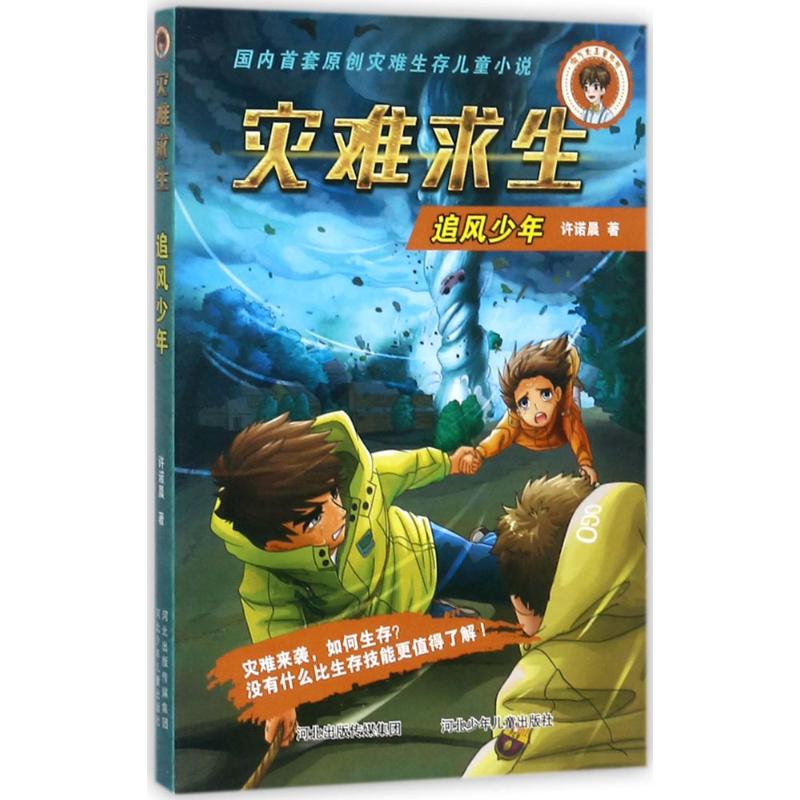 追风少年-许诺晨 著-文轩网