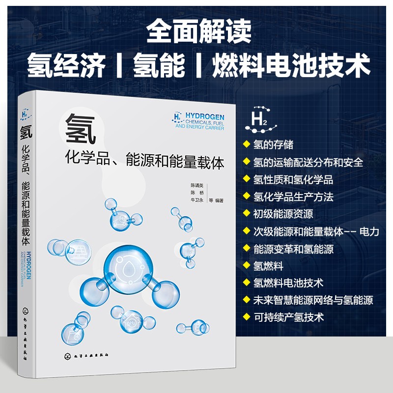  氢 化学品、能源和能量载体 氢经济、氢能和燃料电池技术 