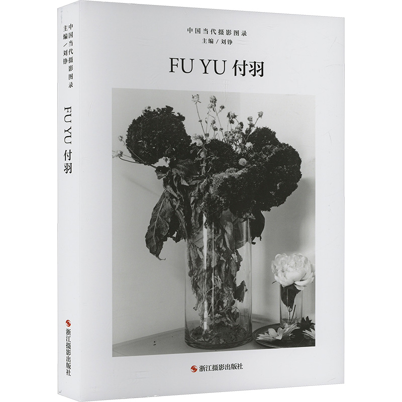  中国当代摄影图录 付羽 