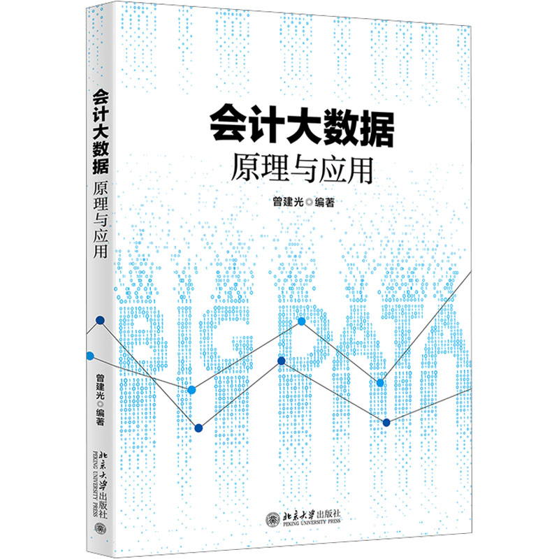  会计大数据原理与应用 