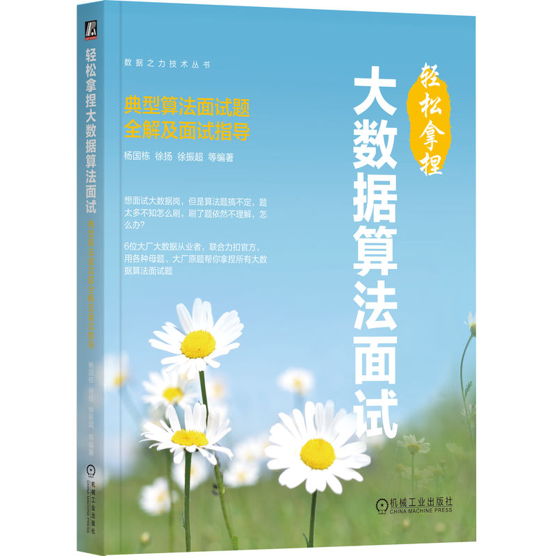  轻松拿捏大数据算法面试 典型算法面试题全解及面试指导 