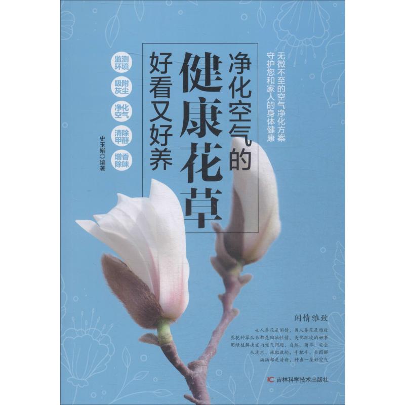  净化空气的健康花草好看又好养 