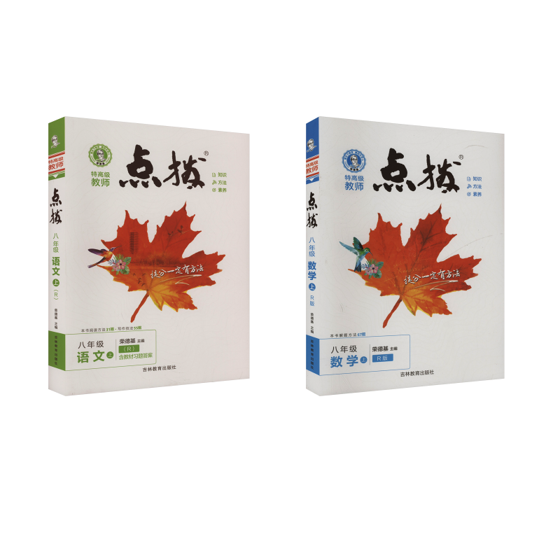  暂AI课标语文数学8上(人教版)/点拨 