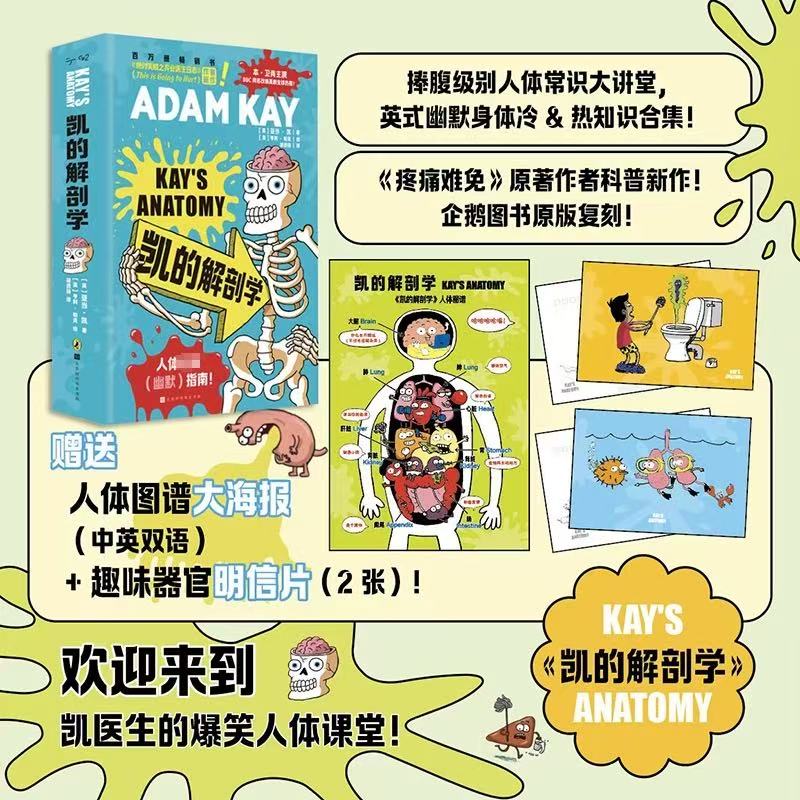  凯的解剖学-带赠品版 