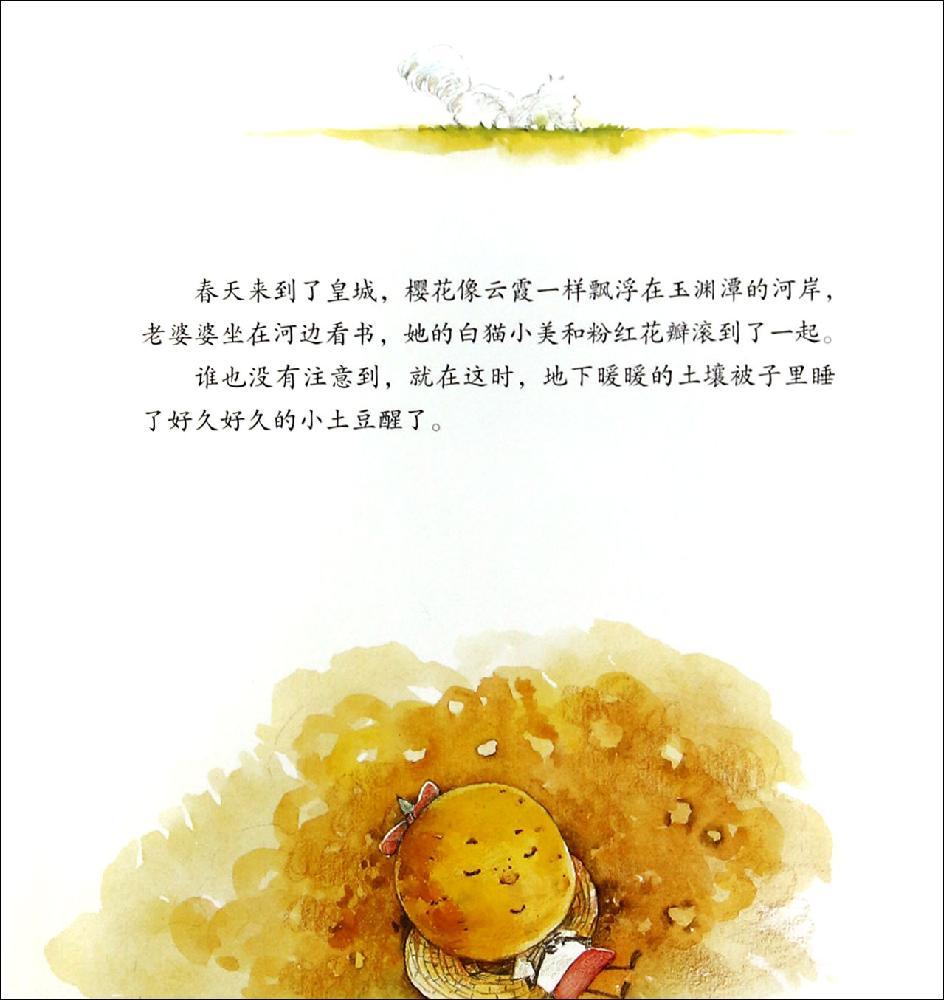 北京记忆·皇城童话等等,绣球花