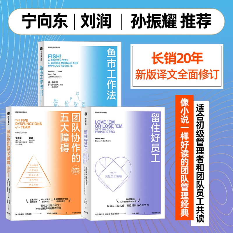  团队协作的五大障碍 三本套 