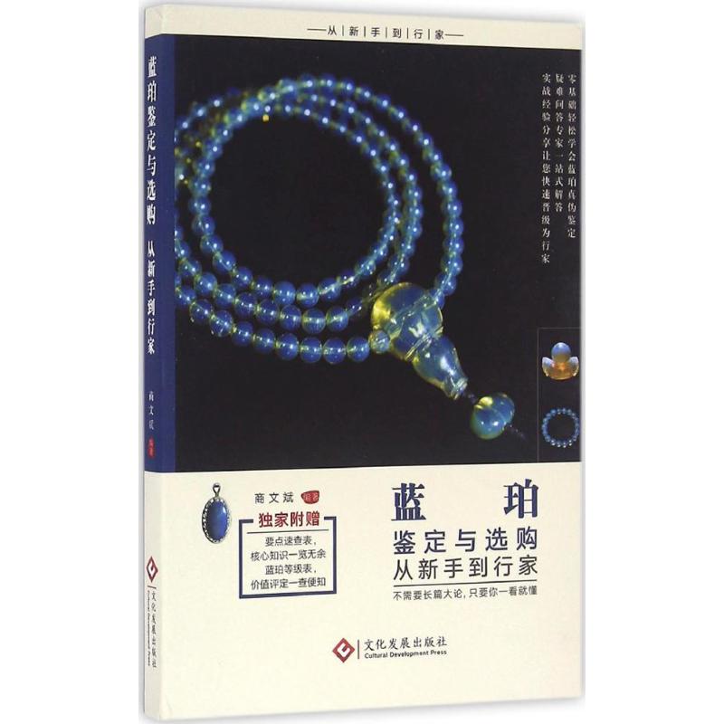  蓝珀鉴定与选购从新手到行家 