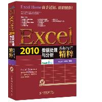 Excel 2010数据处理与分析实战技巧精粹