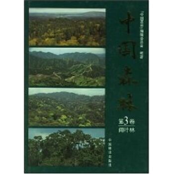 中国森林Ⅲ
